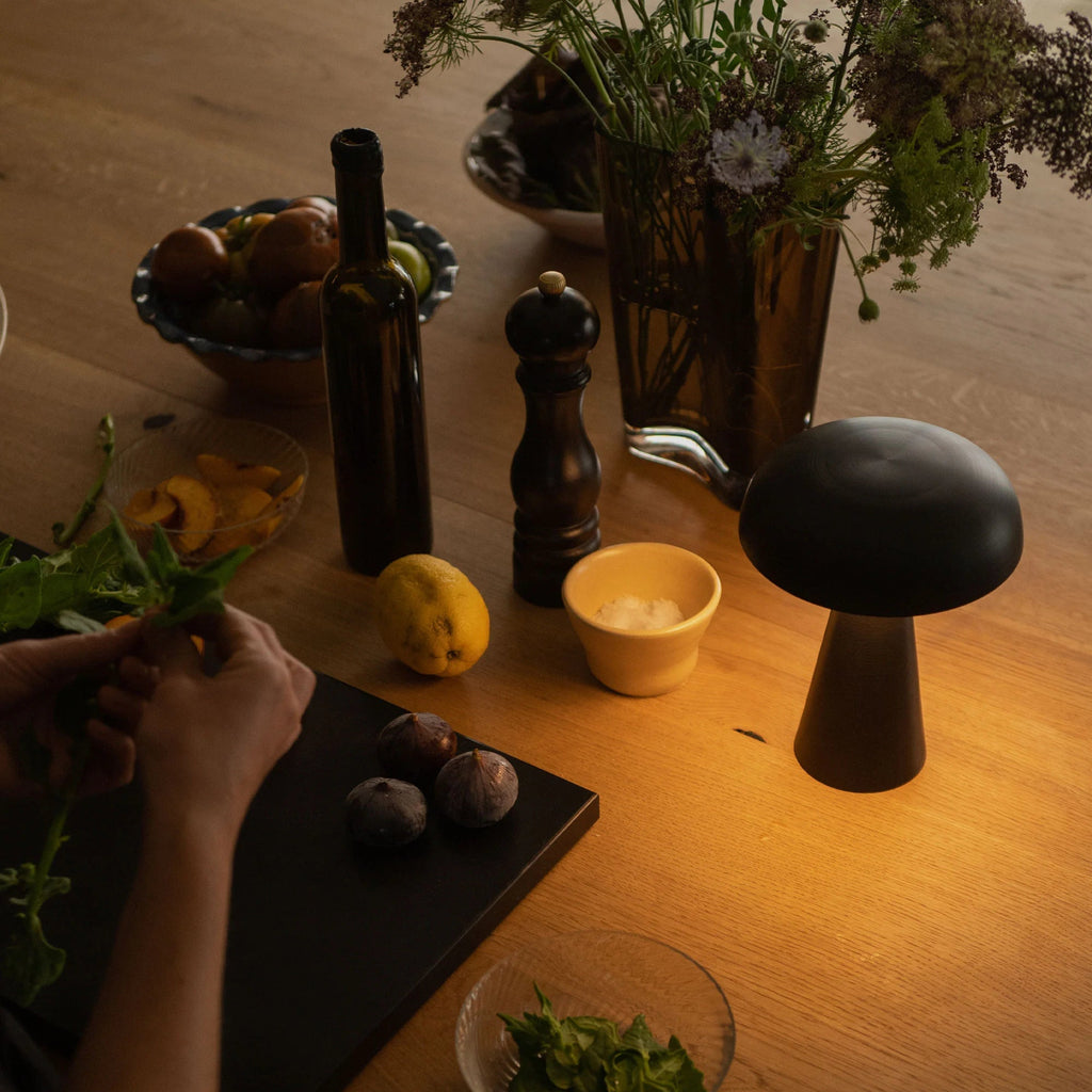 Space age mushroom dimmable portable led lamp "Como SC53"