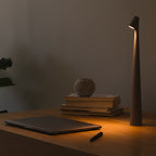Organic contemporary portable dimmable desk lamp